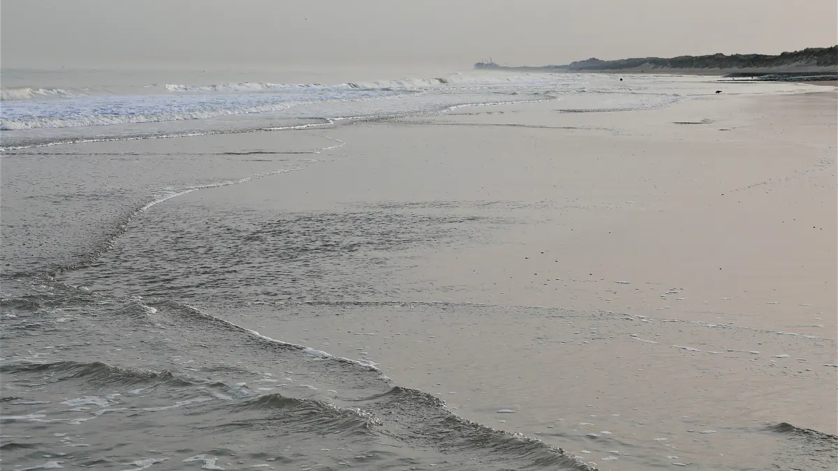Vagues peu profondes sur le sable à marée basse à Bredene, dunes à l'horizon