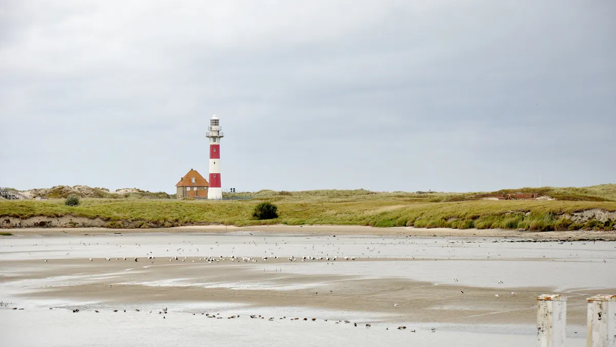 Chenal du port de Nieuport à marée basse, avec un phare rouge et blanc au loin entre les dunes